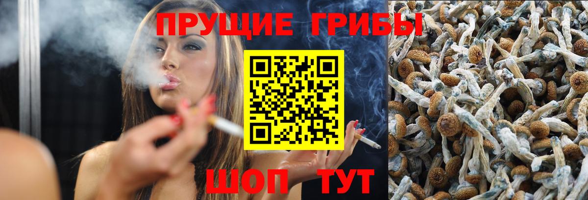 Псилоцибиновые грибы ЛСД Истра